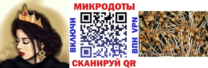 Псилоцибиновые грибы Psilocybe OMG сайт Бердск